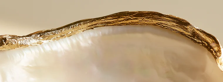 Gilded edge of an oyster shell